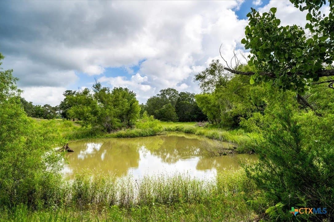 135.94 acres in Fayette County - photo 4