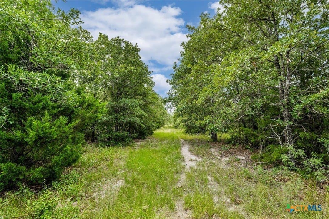 135.94 acres in Fayette County - photo 8