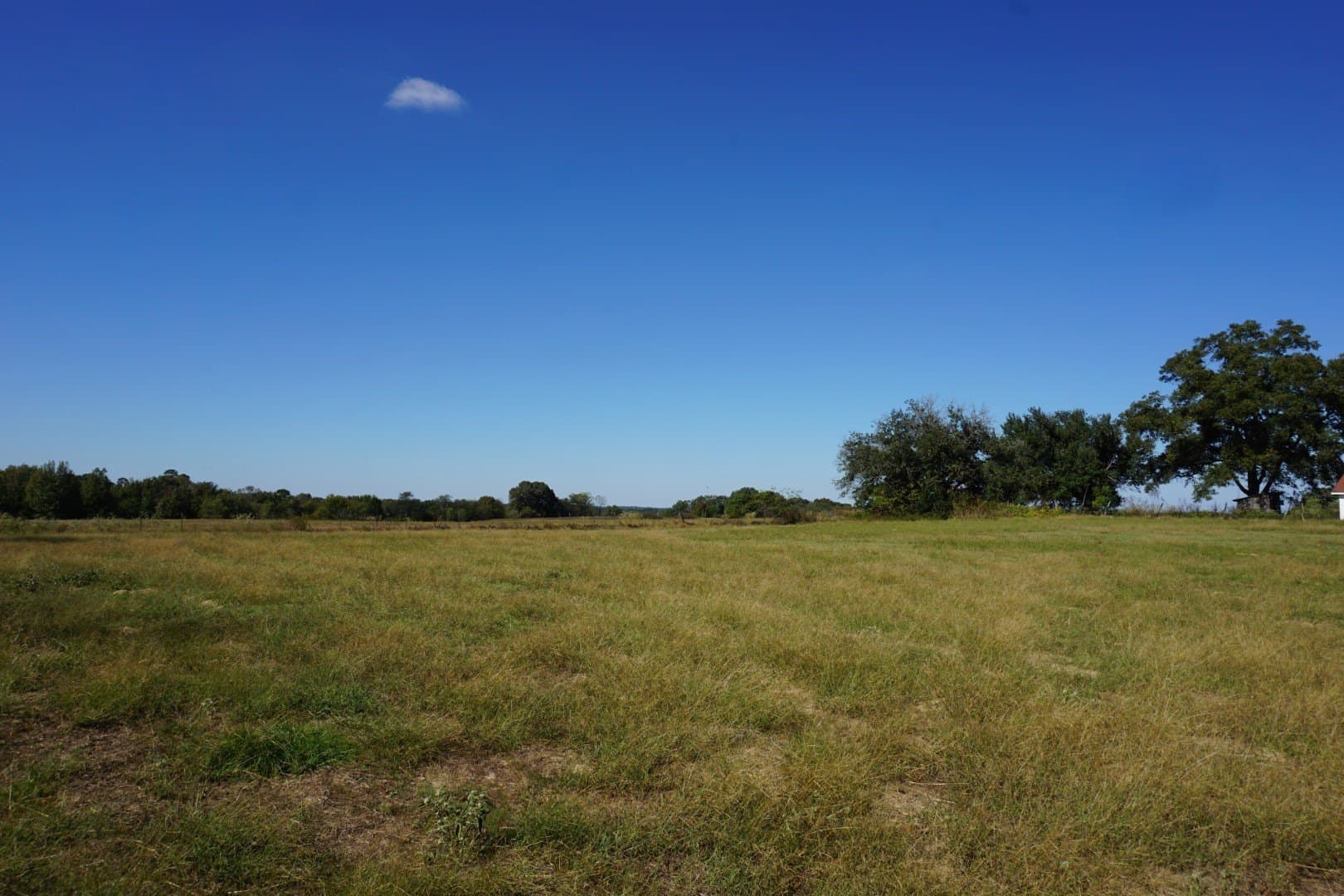20 acres in Morris County - photo 13