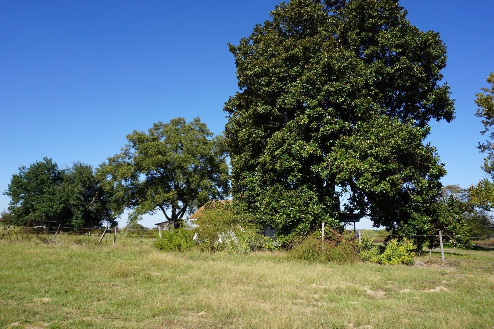 20 acres in Morris County - photo 2