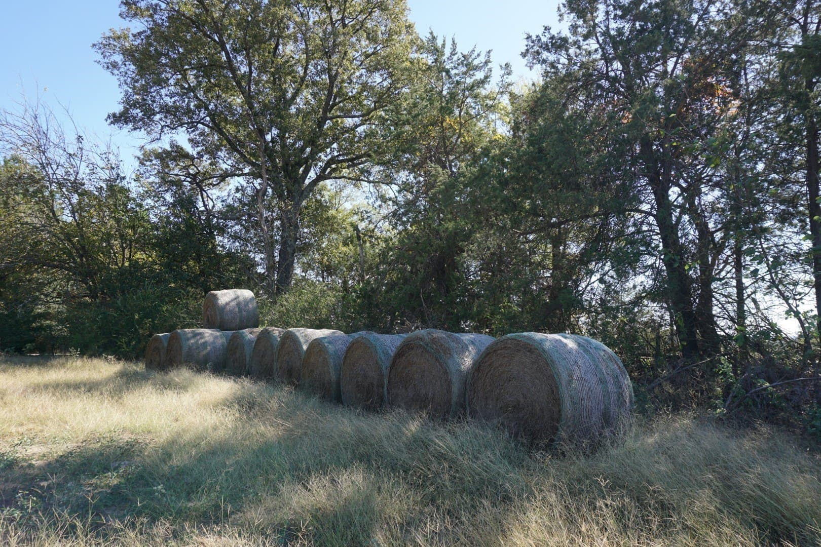 20 acres in Morris County - photo 3