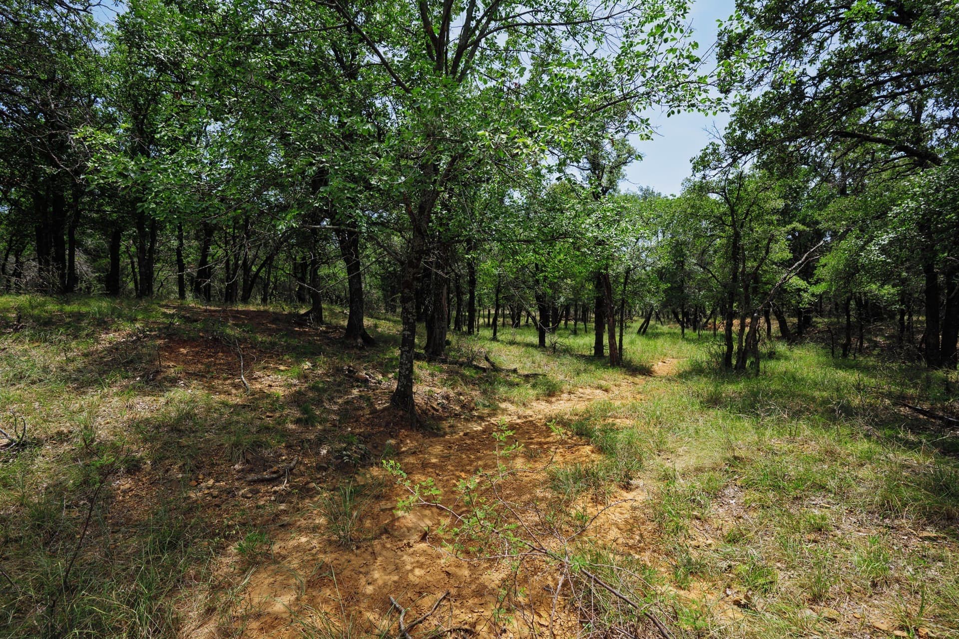 26.02 acres in Palo Pinto County - photo 10