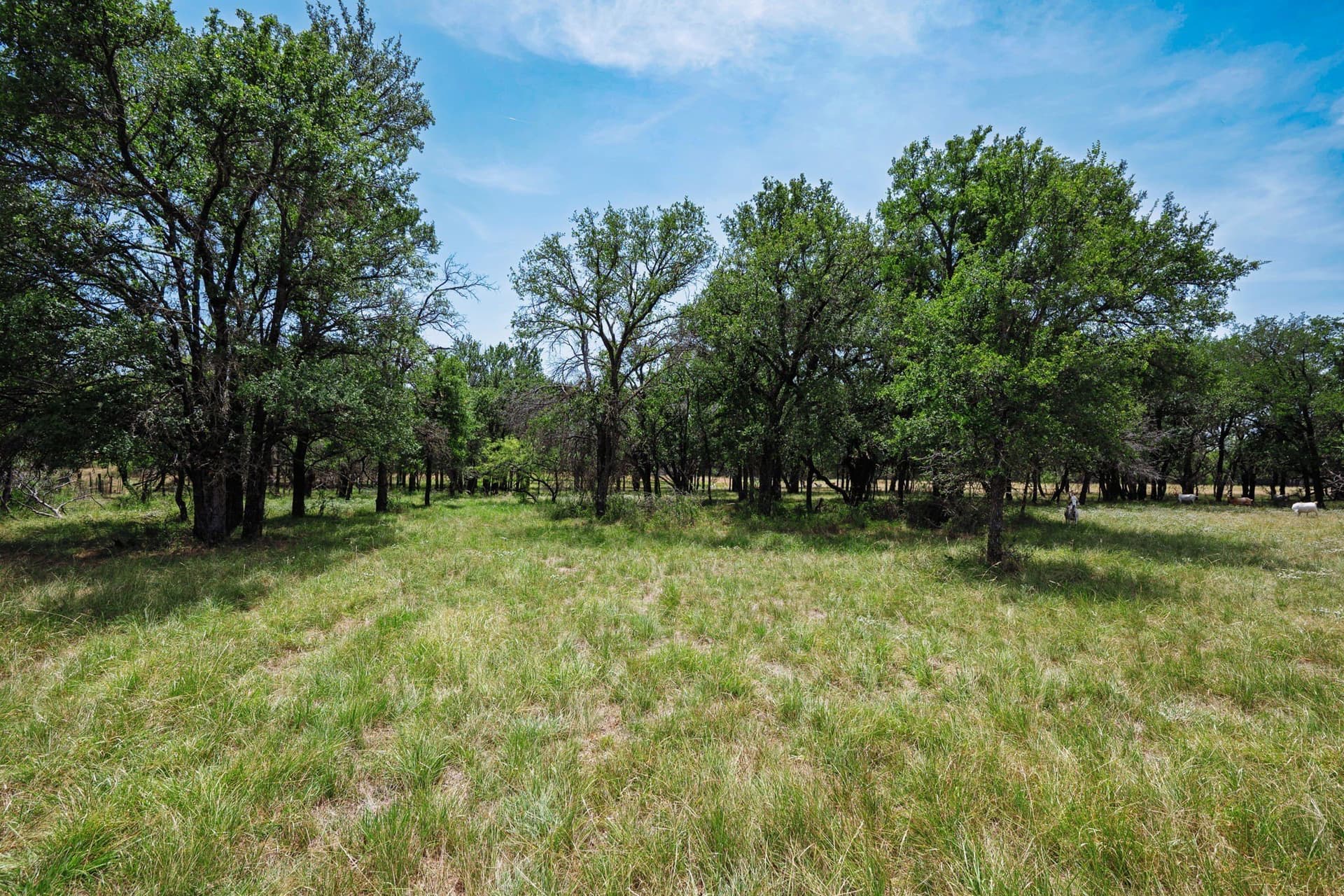 26.02 acres in Palo Pinto County - photo 18