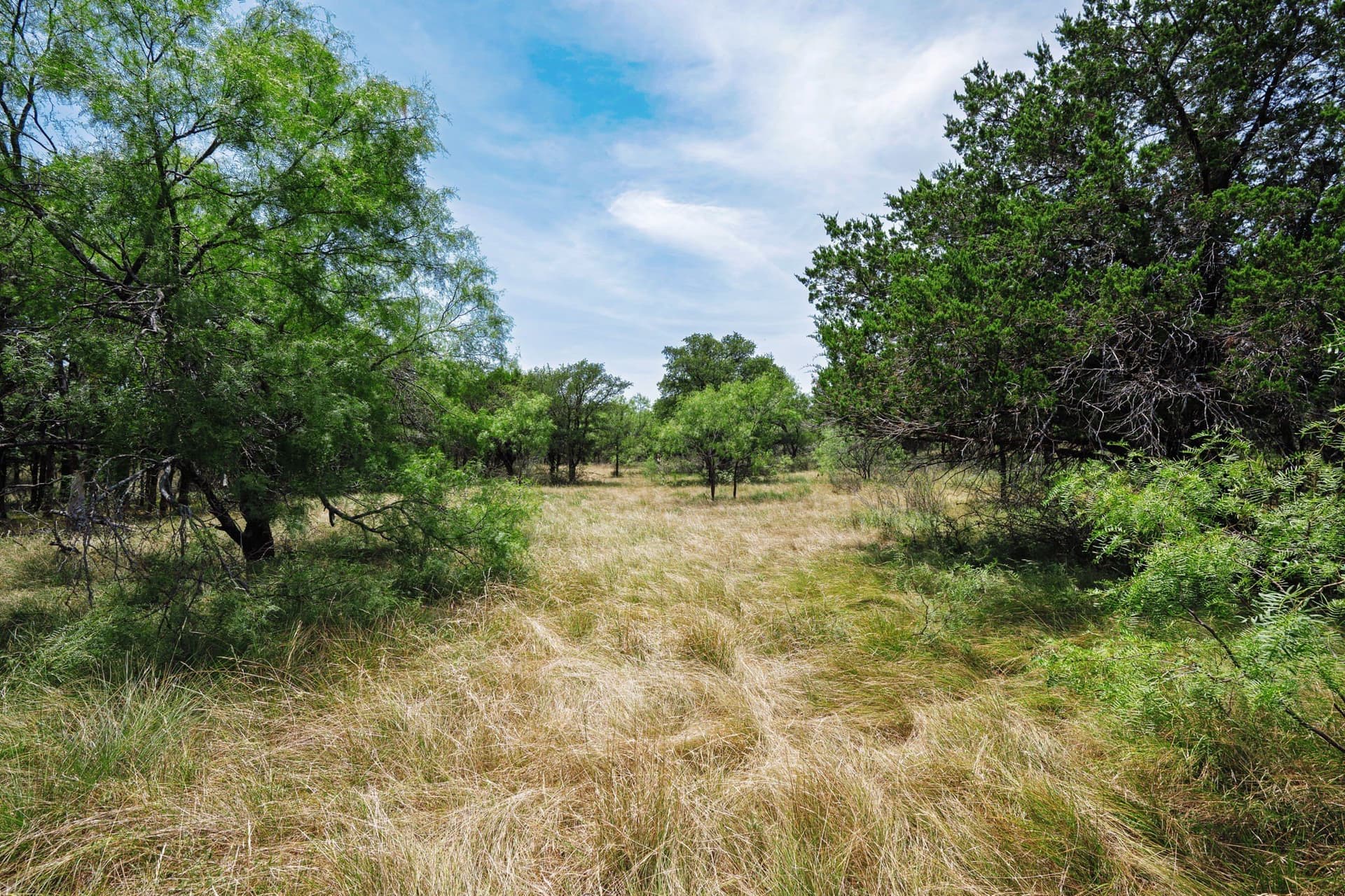 26.02 acres in Palo Pinto County - photo 16