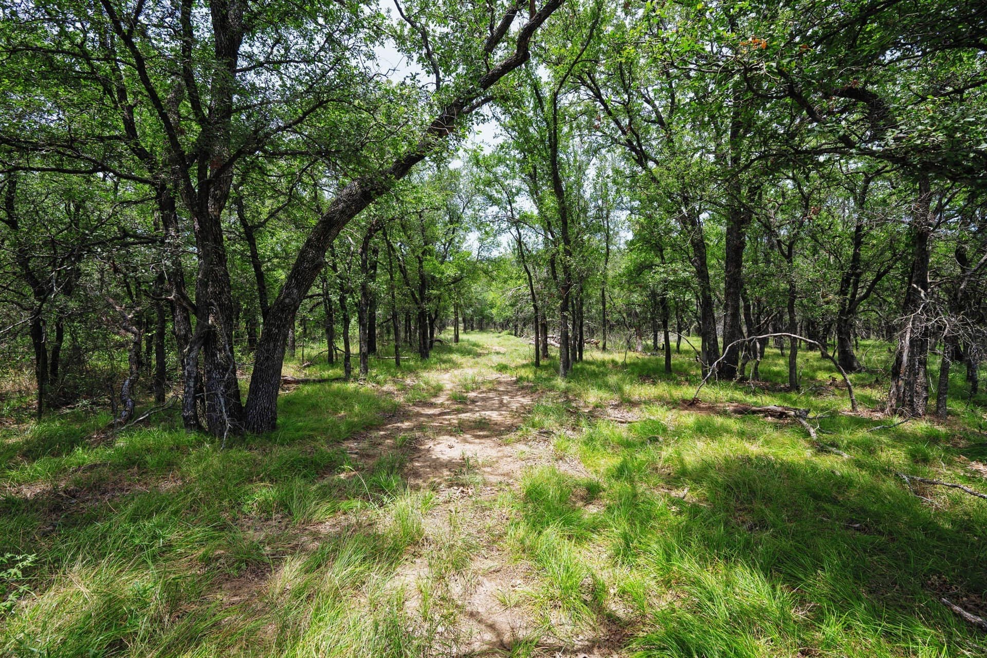 26.02 acres in Palo Pinto County - photo 2