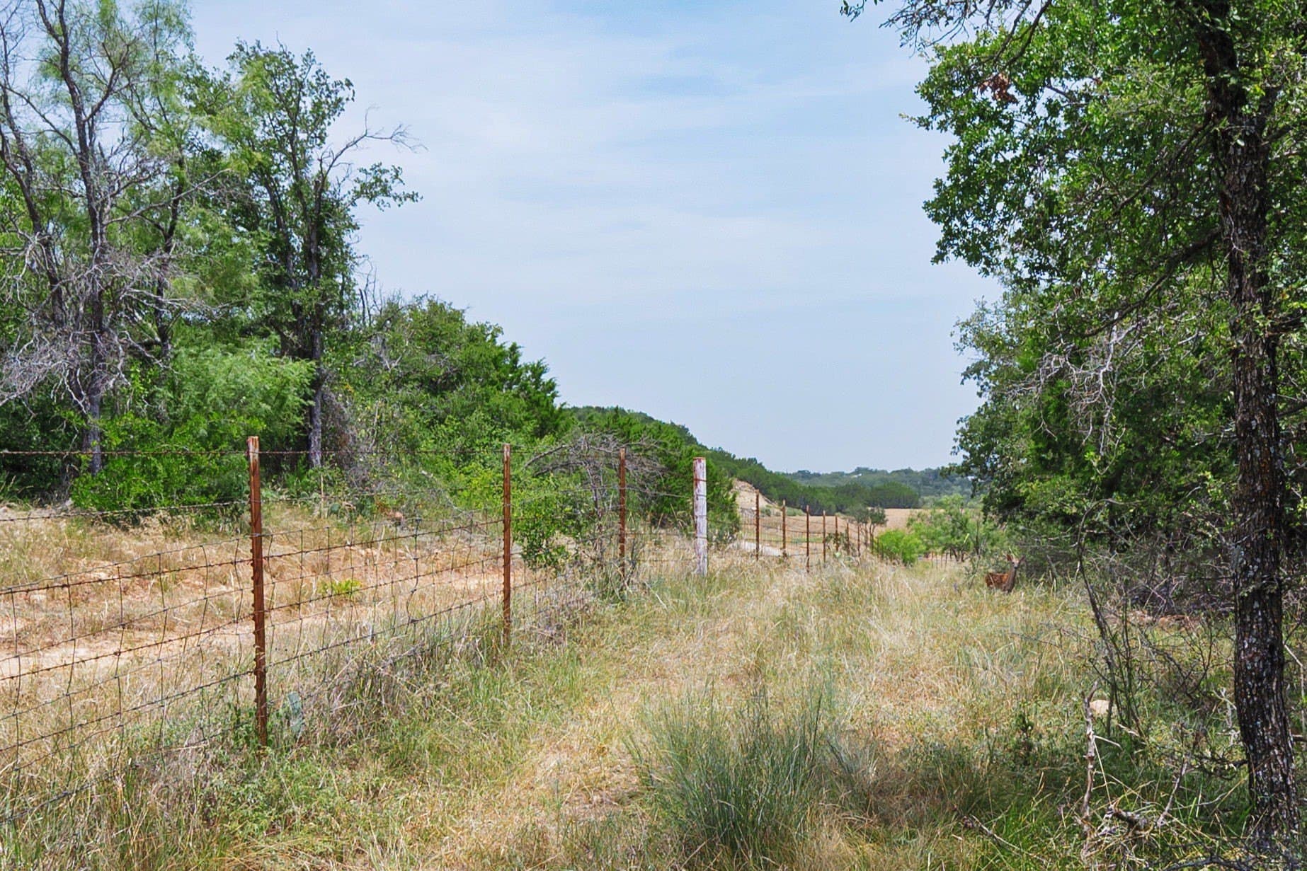 26.02 acres in Palo Pinto County - photo 12
