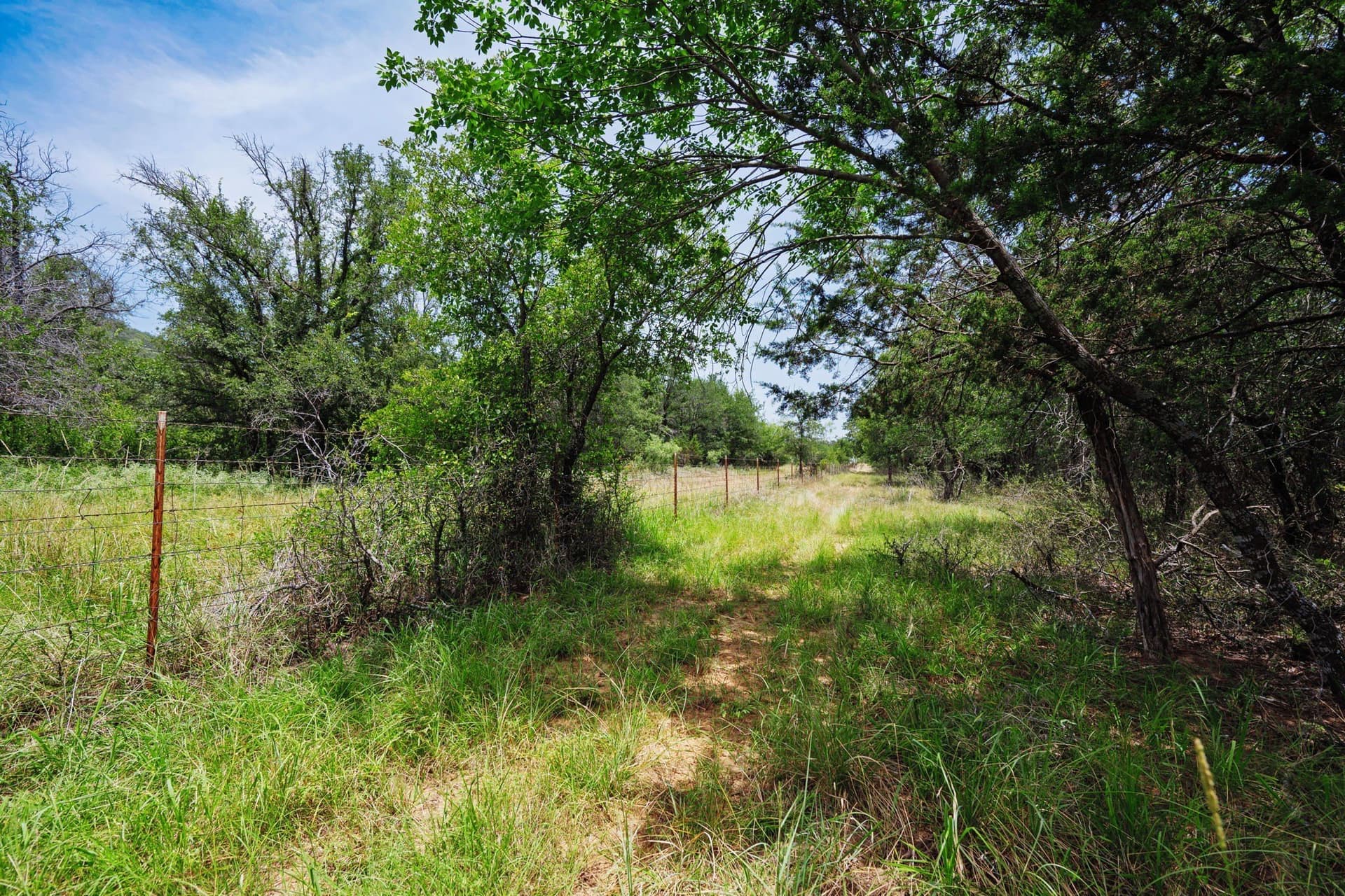 26.02 acres in Palo Pinto County - photo 9