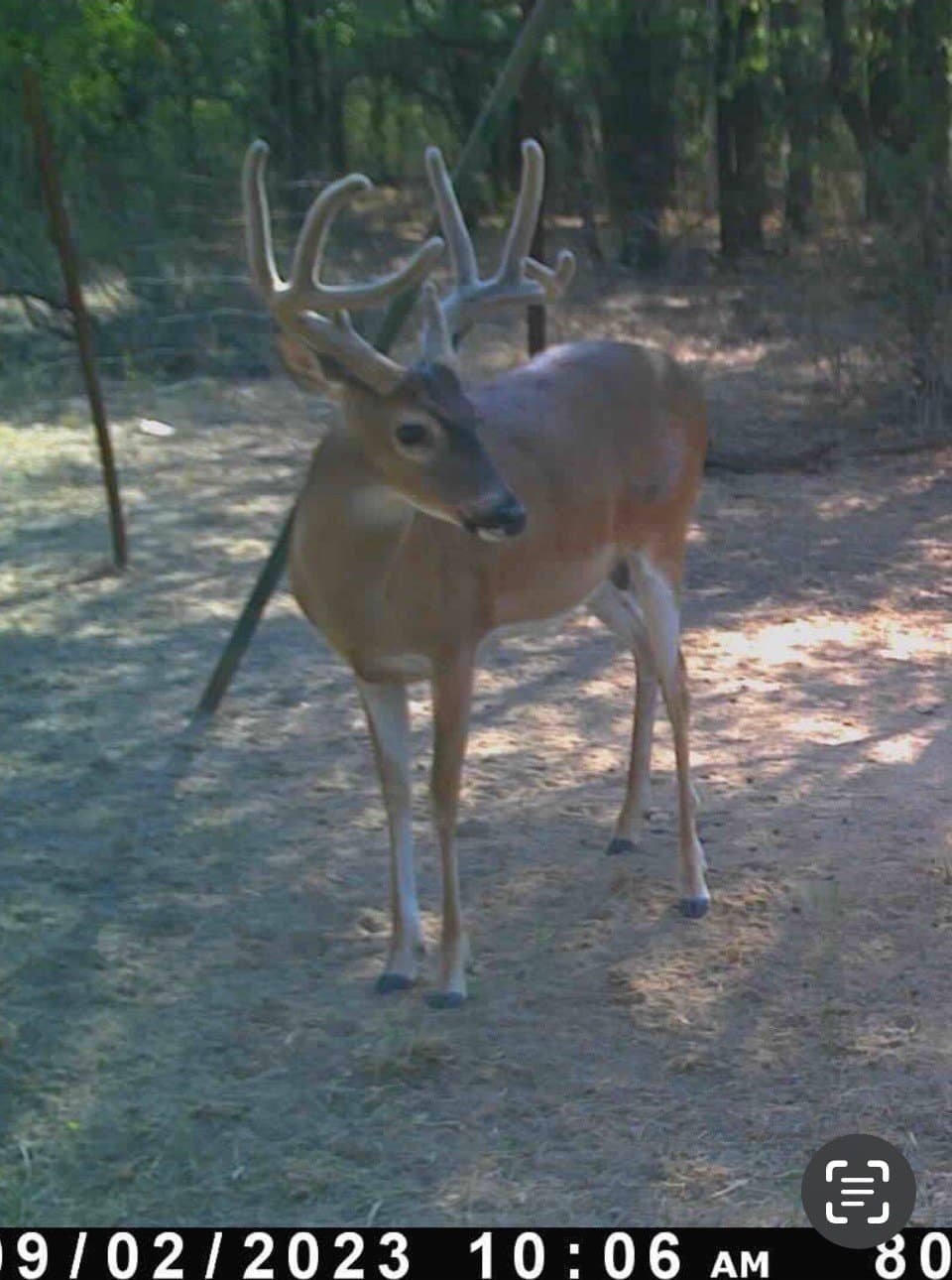 26.02 acres in Palo Pinto County - photo 11