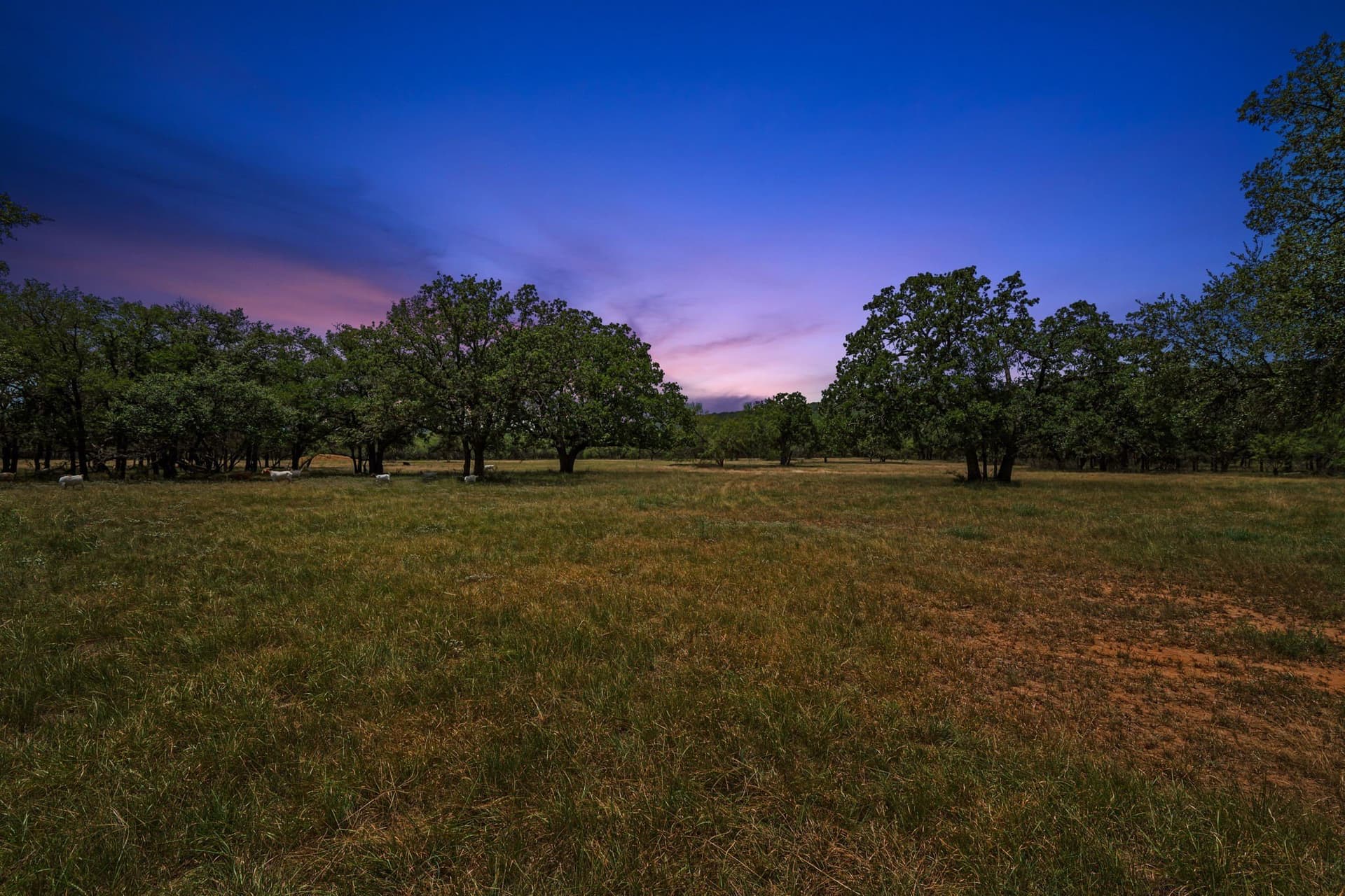 26.02 acres in Palo Pinto County - photo 4