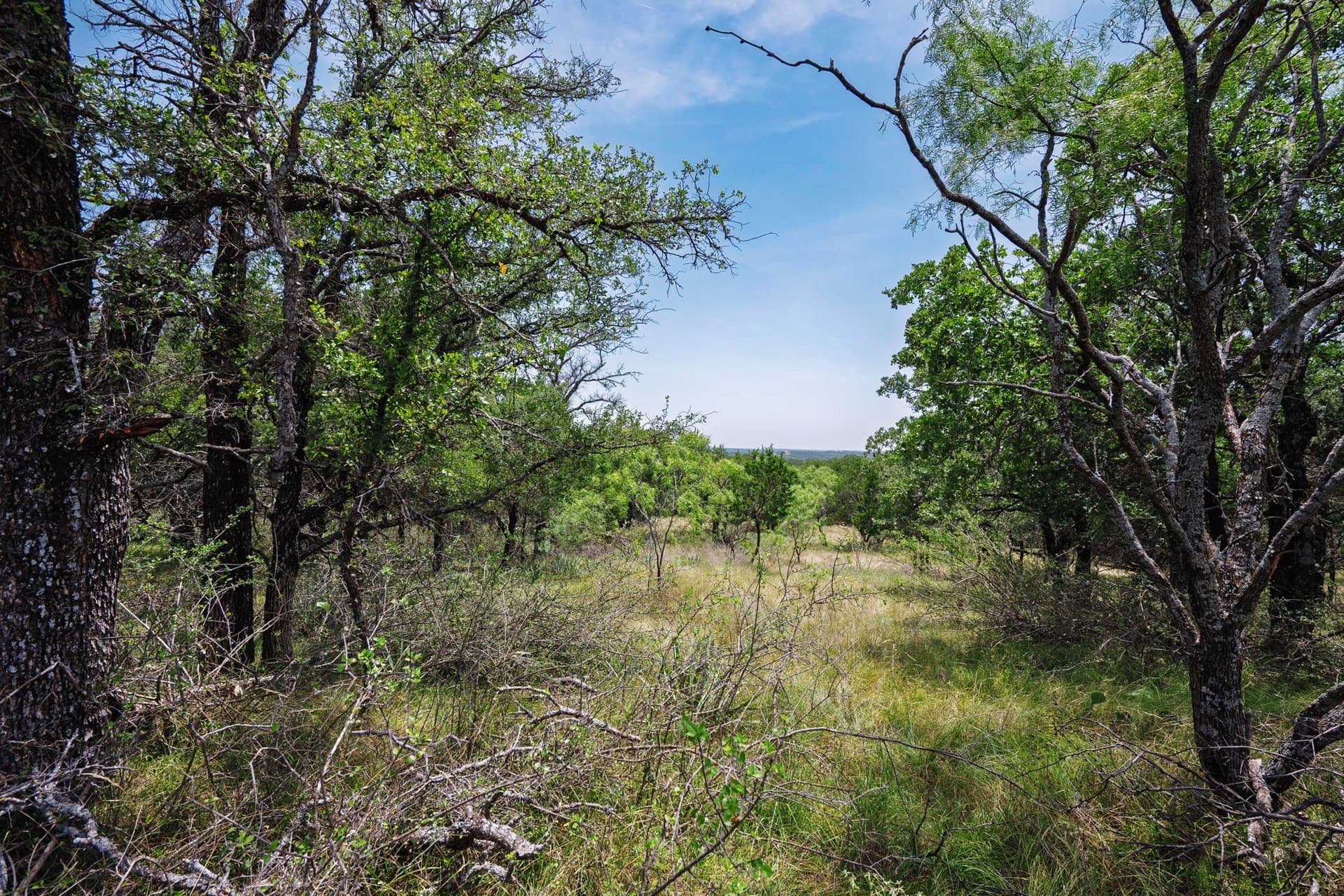 26.02 acres in Palo Pinto County - photo 13