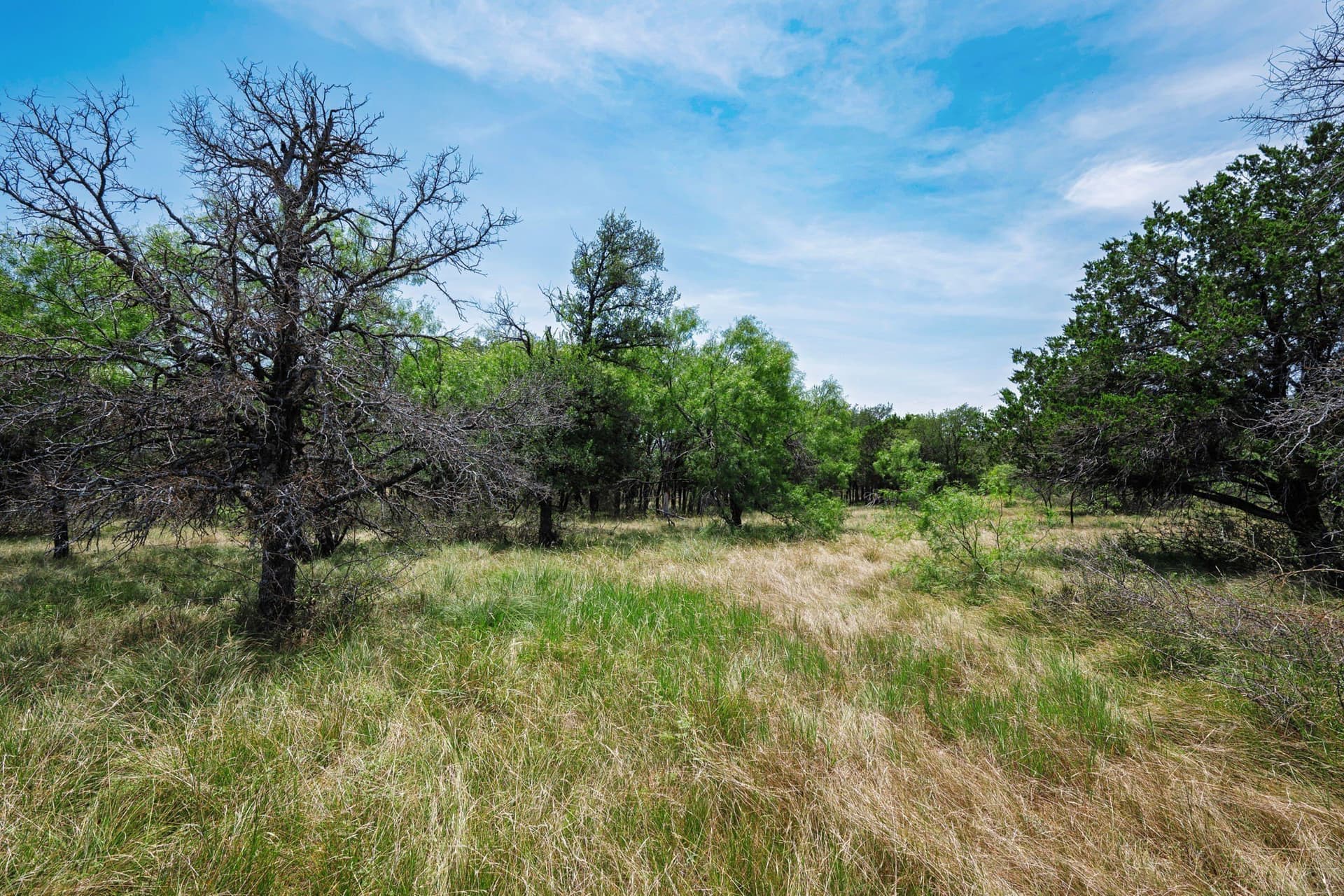 26.02 acres in Palo Pinto County - photo 15