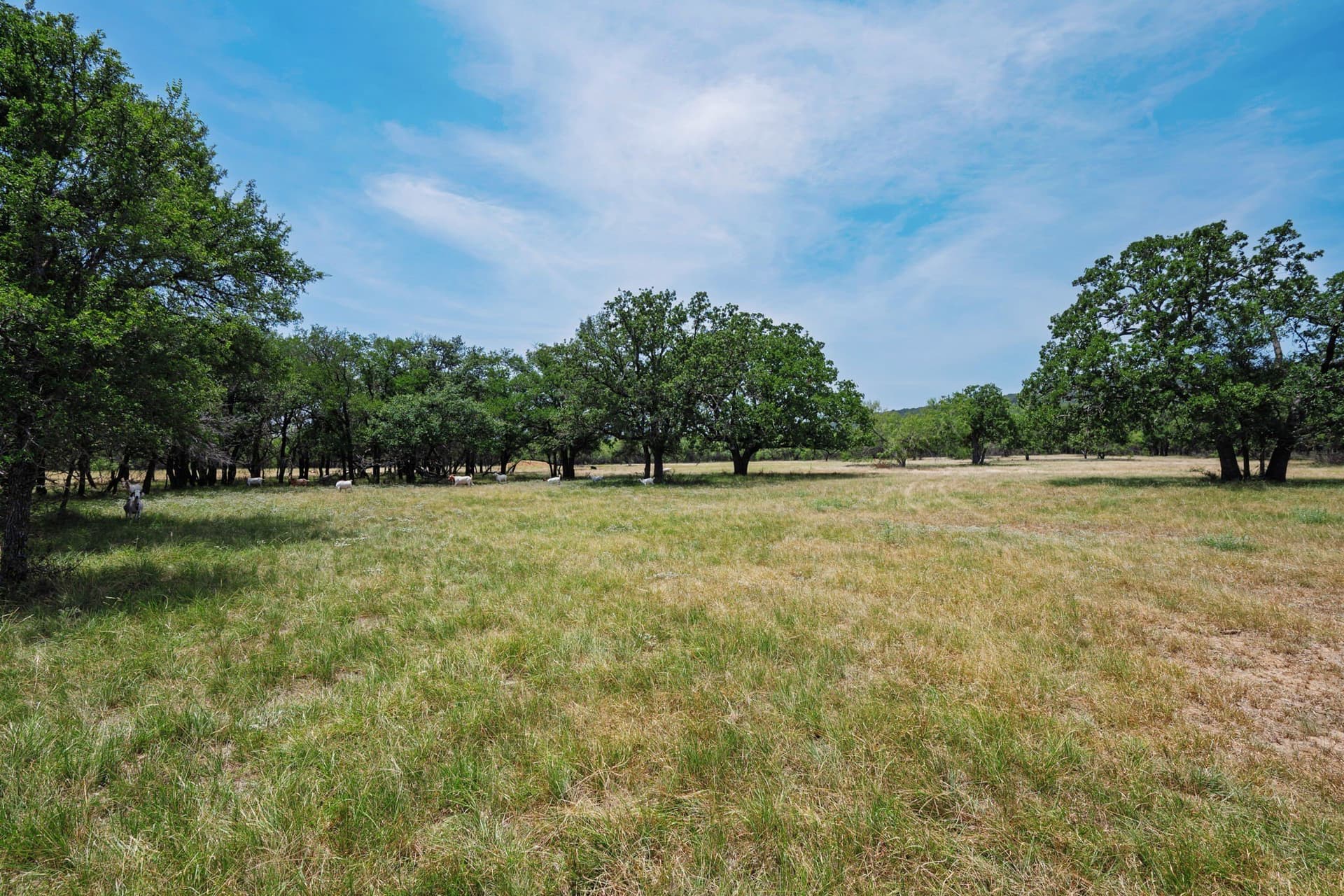 26.02 acres in Palo Pinto County - photo 19