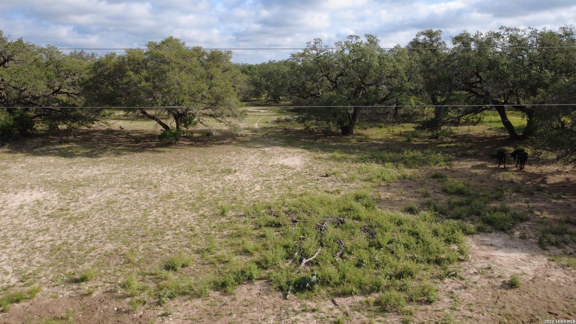 10.97 acres in Atascosa County gallery image 2