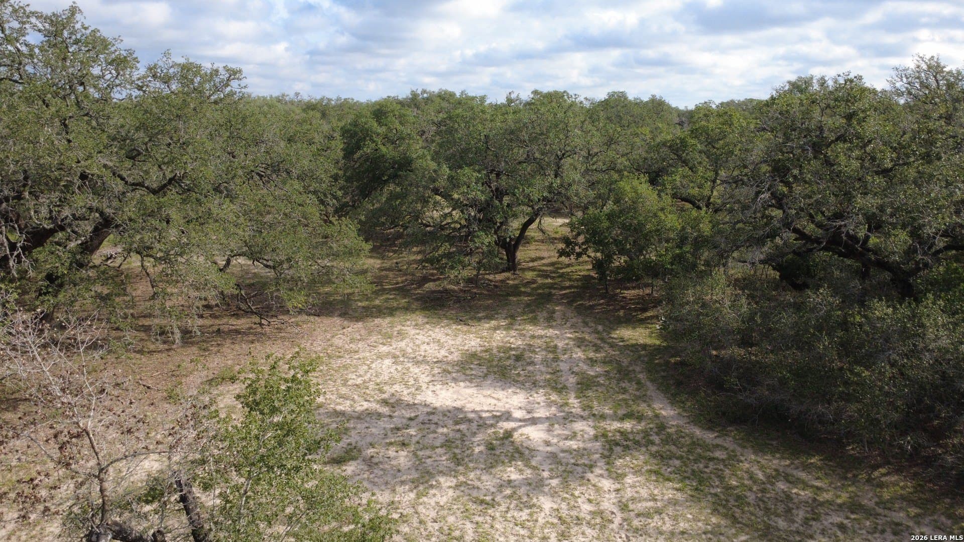 10.97 acres in Atascosa County featured view