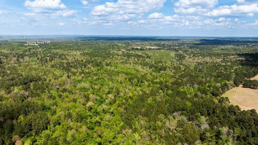 85.06 acres in ANDERSON County - photo 6