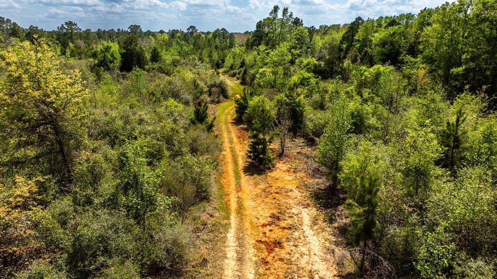 85.06 acres in ANDERSON County - photo 11