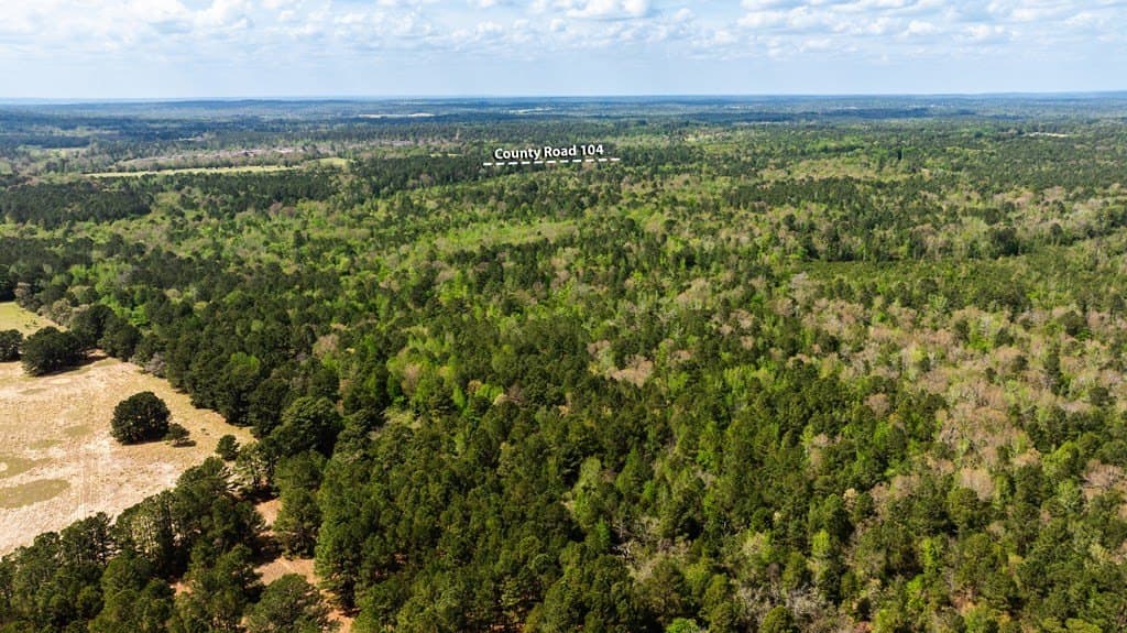 85.06 acres in ANDERSON County gallery image 4