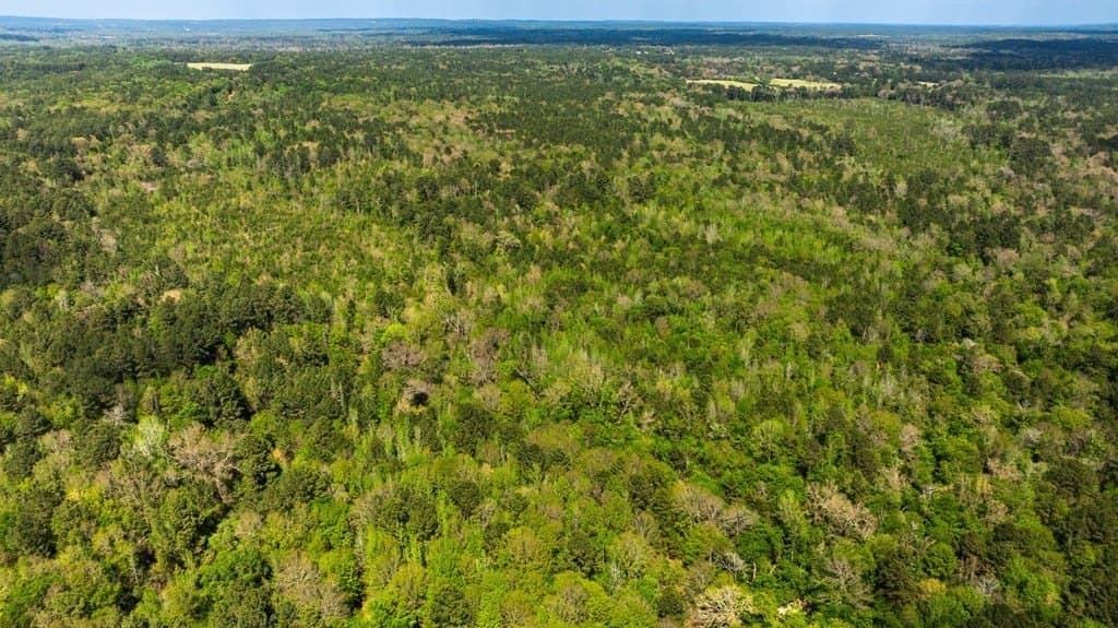 85.06 acres in ANDERSON County - photo 7