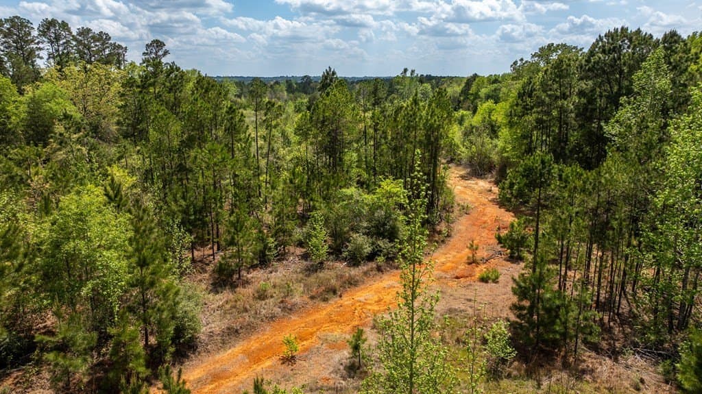 85.06 acres in ANDERSON County - photo 13