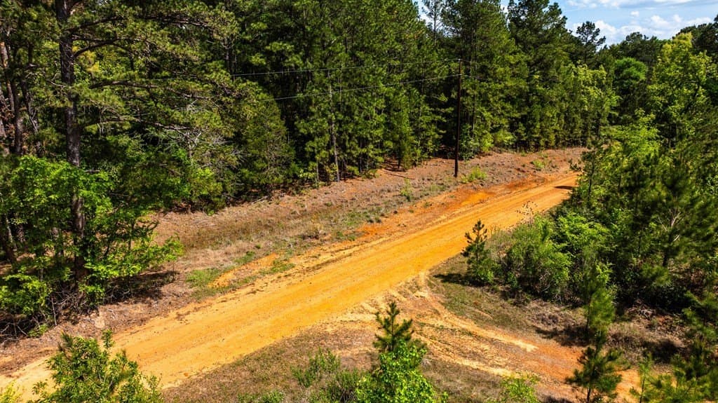 85.06 acres in ANDERSON County - photo 12