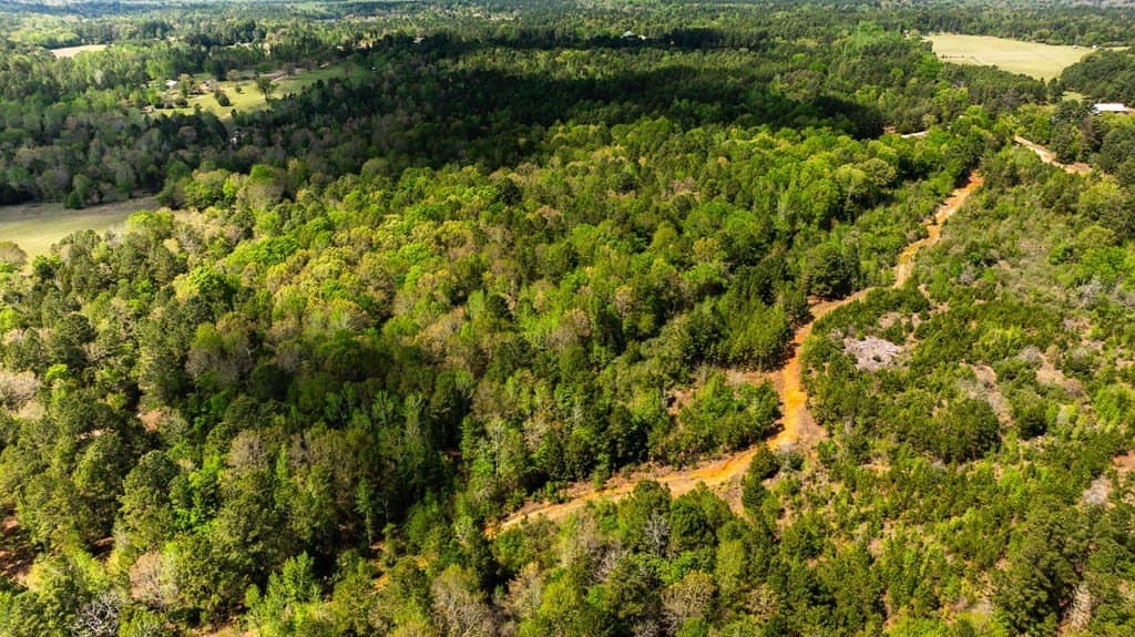 85.06 acres in ANDERSON County - photo 9