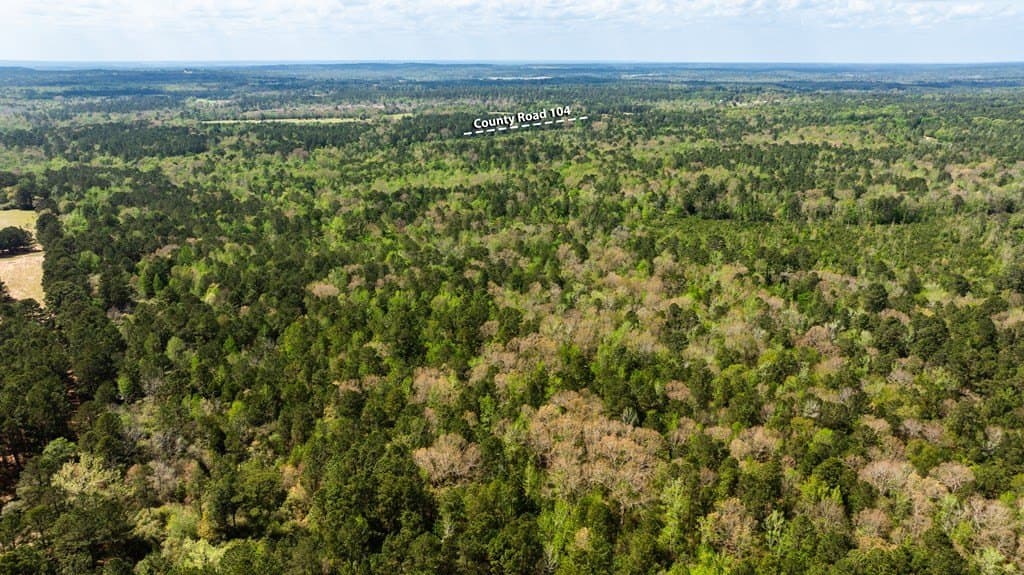 85.06 acres in ANDERSON County gallery image 3