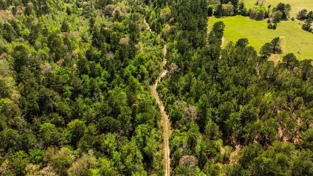 85.06 acres in ANDERSON County - photo 10