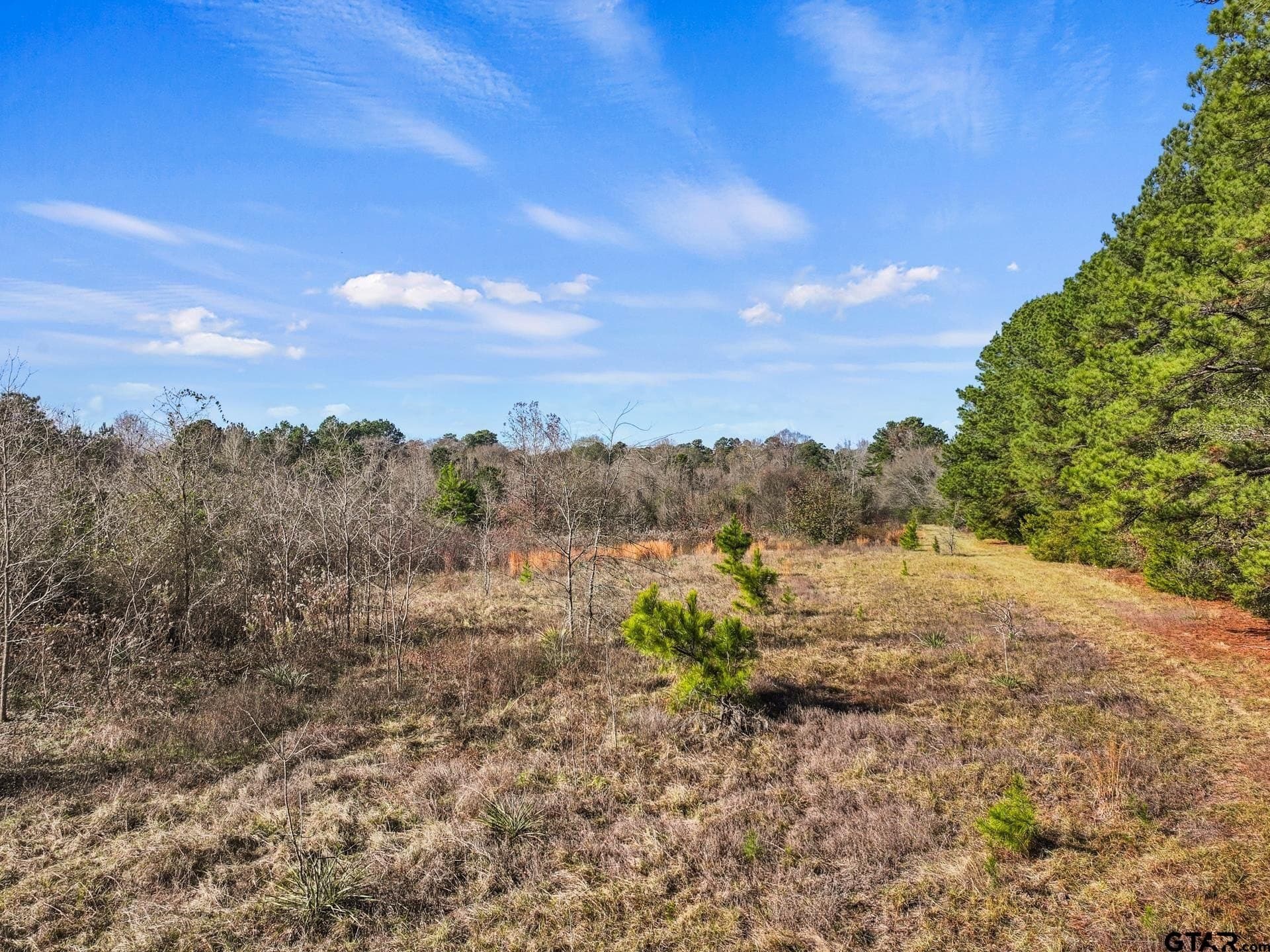 12 acres in Cass County - photo 11