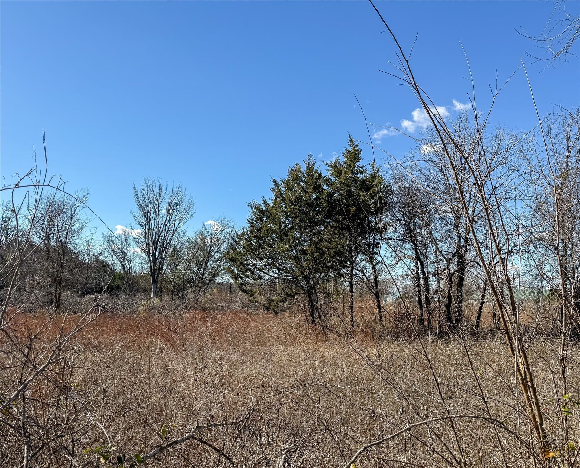 1.5 acres in Johnson County