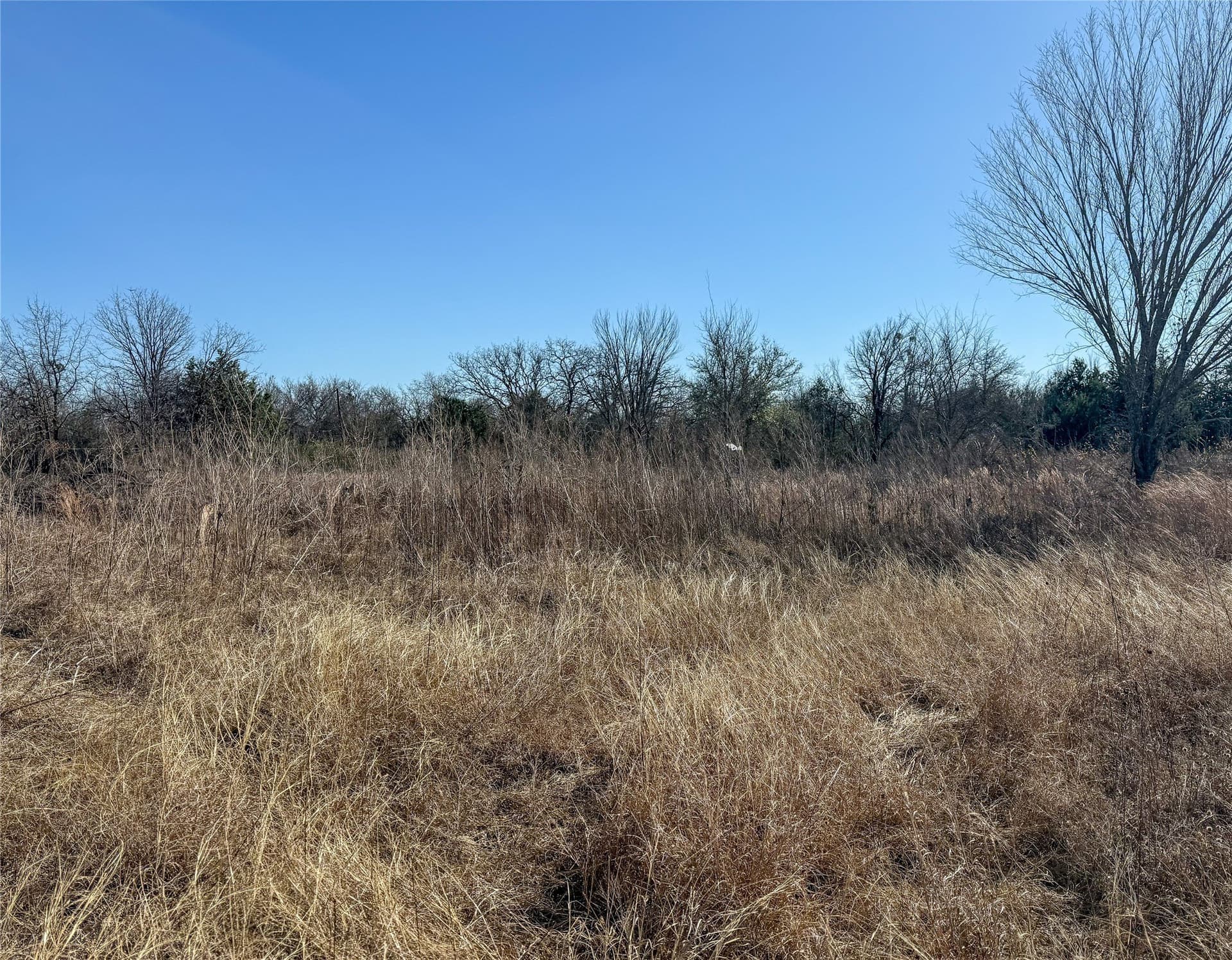 1.5 acres in Johnson County - photo 3