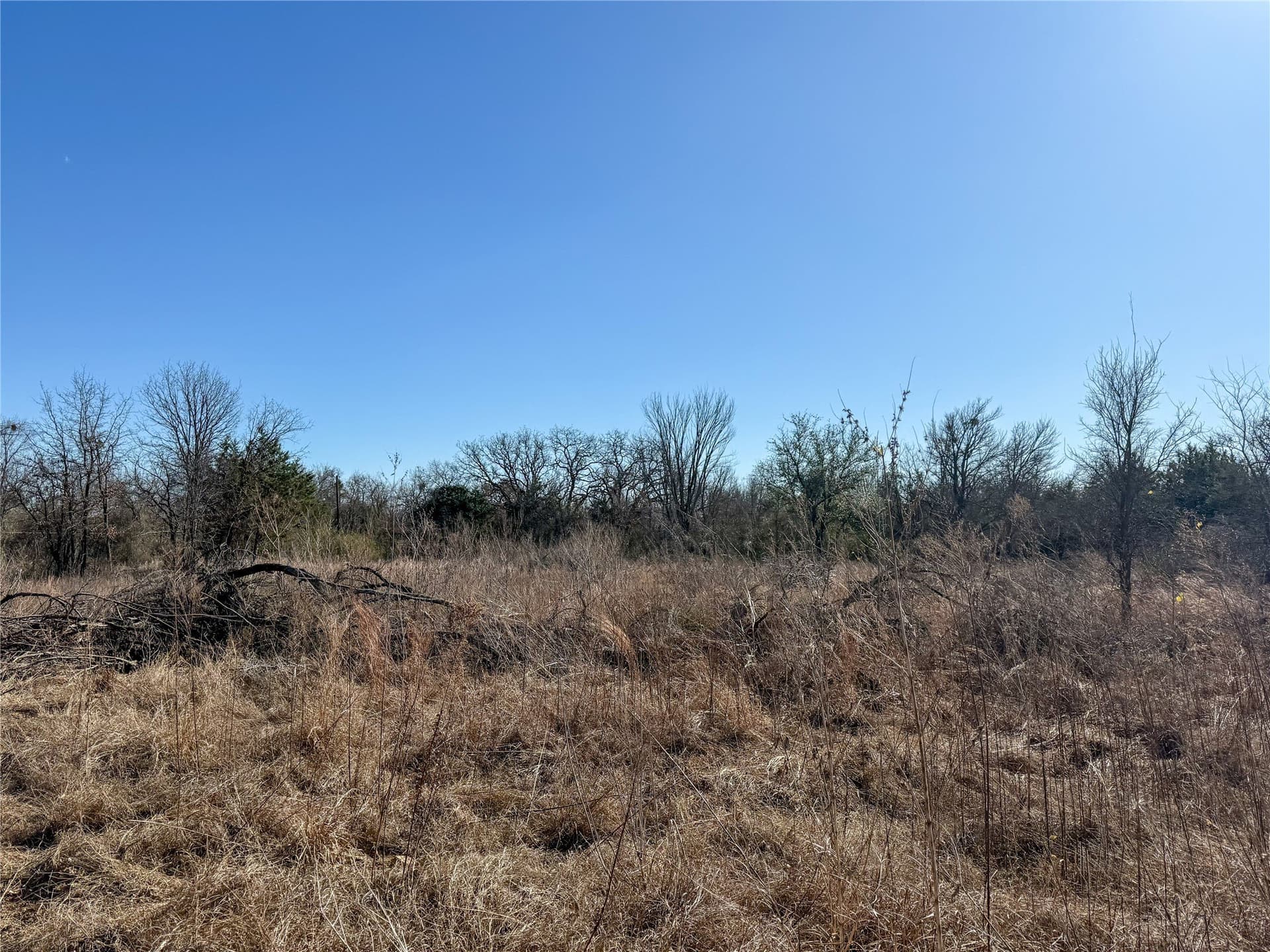 1.5 acres in Johnson County - photo 4