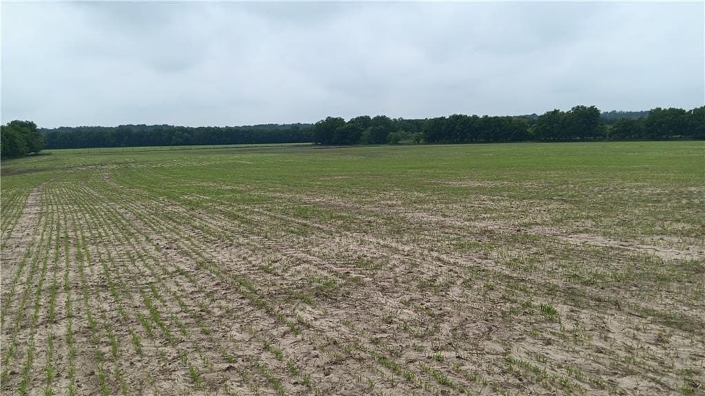 34 acres in Falls County featured view