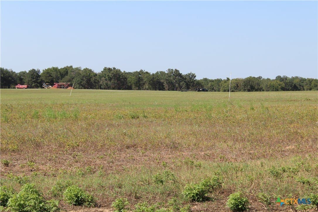 3.45 acres in Milam County gallery image 4