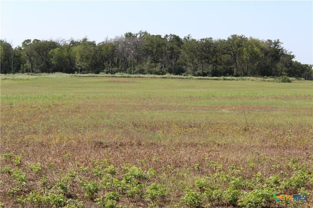 3.45 acres in Milam County gallery image 3