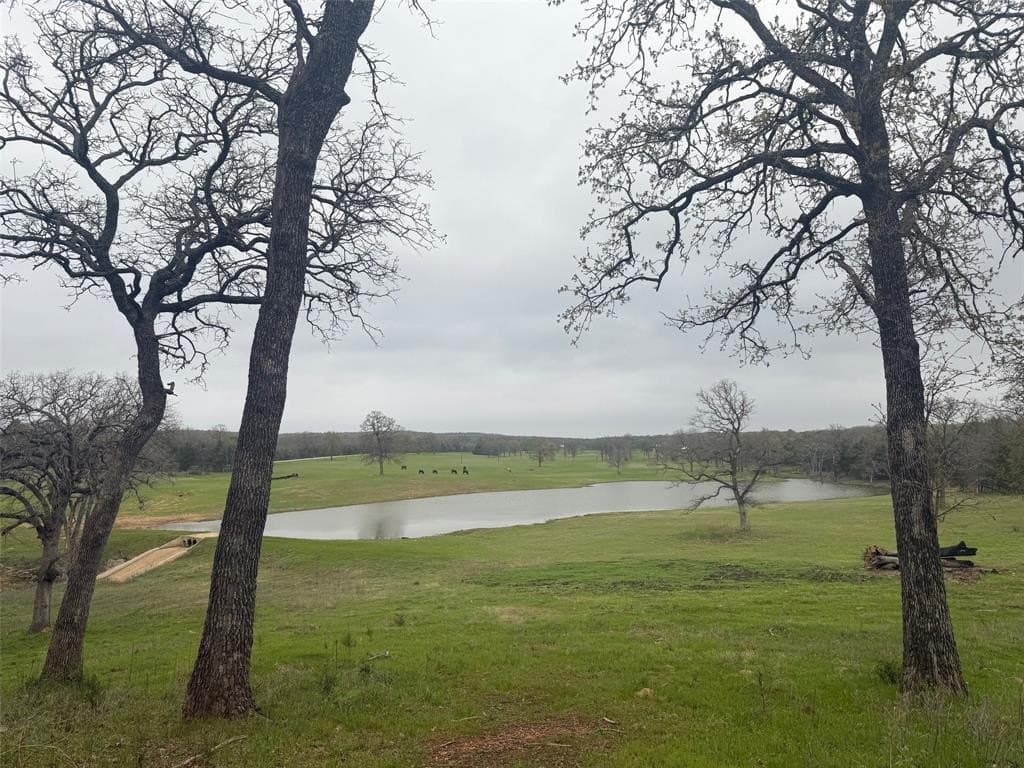 11 acres in Cooke County gallery image 4