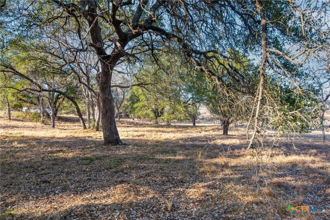 0.31 acres in Llano County - photo 9