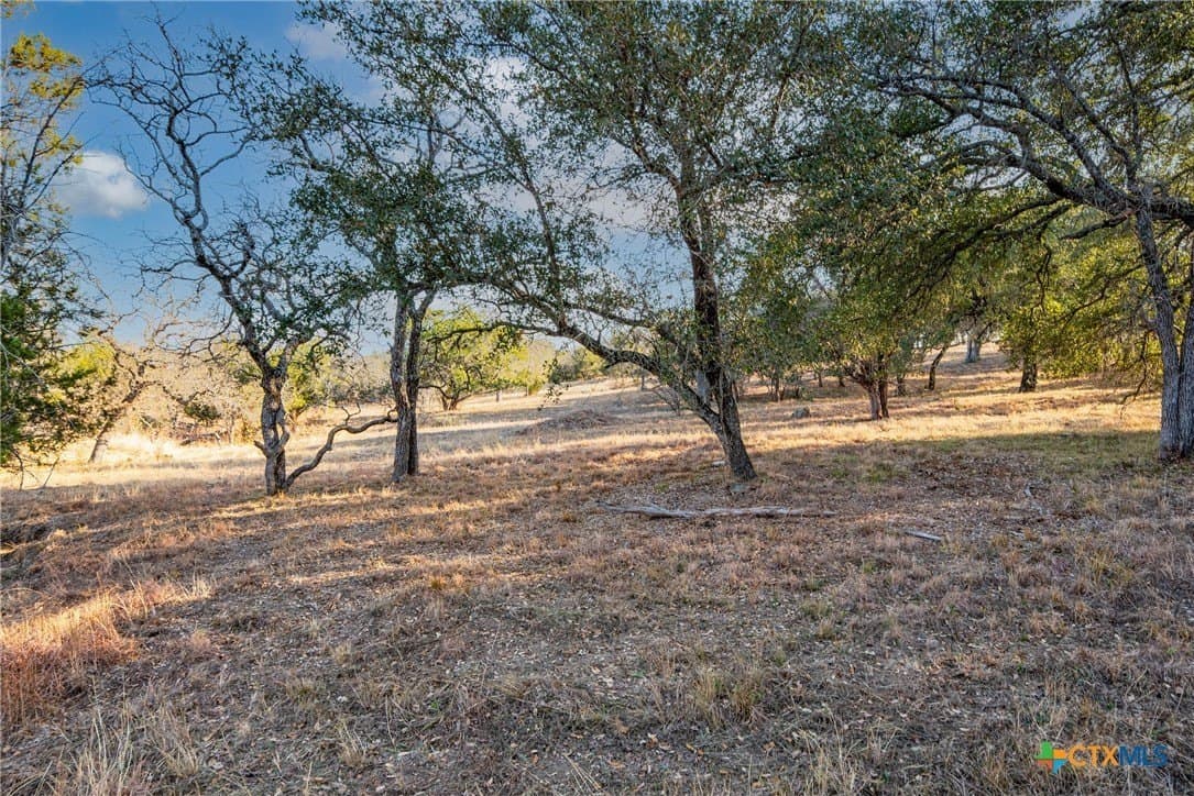 0.31 acres in Llano County - photo 14