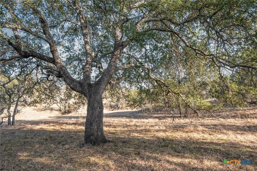 0.31 acres in Llano County - photo 13