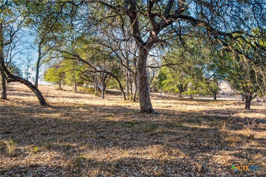 0.31 acres in Llano County - photo 8