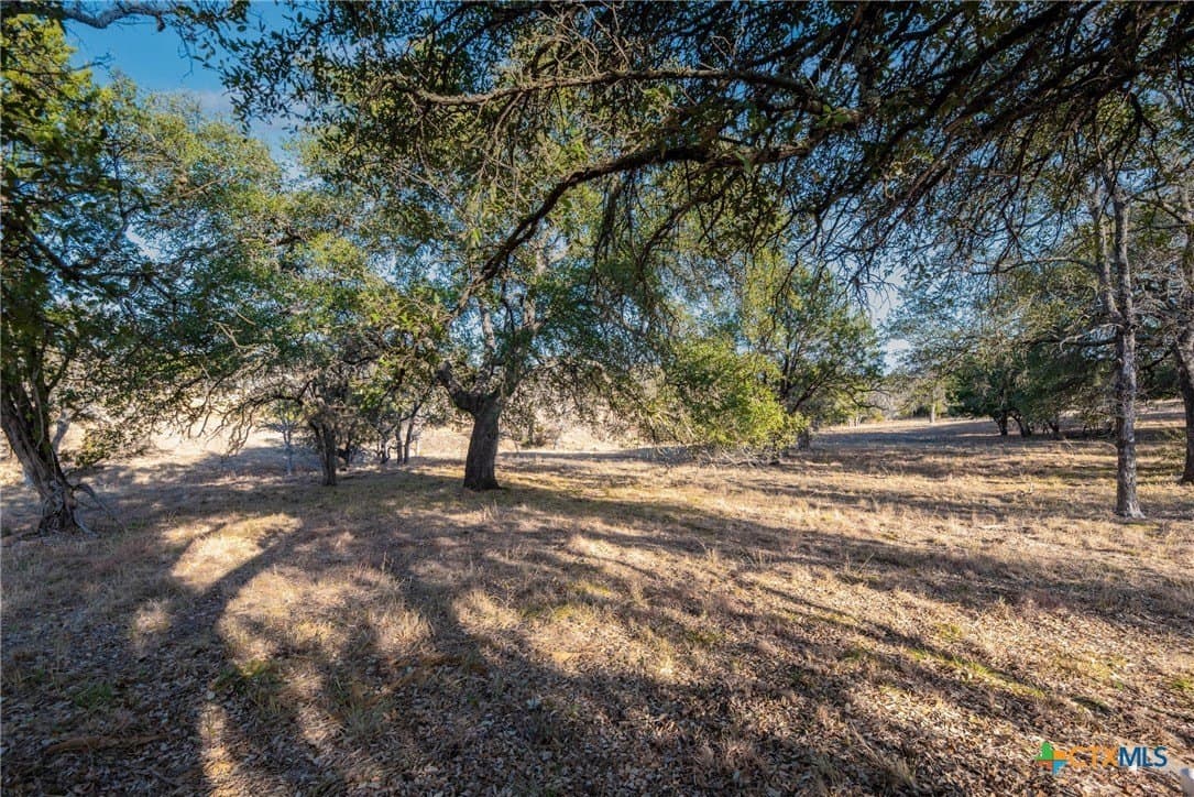 0.31 acres in Llano County - photo 6