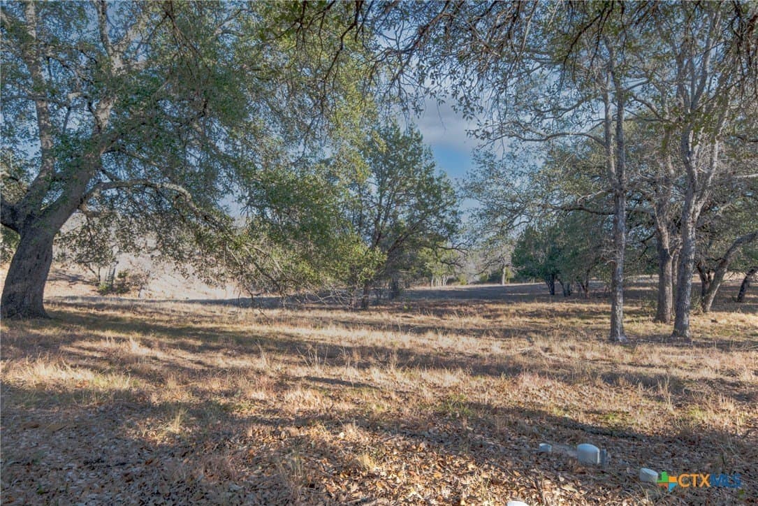 0.31 acres in Llano County - photo 19