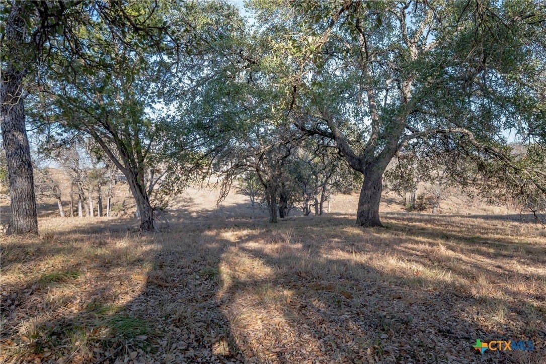 0.31 acres in Llano County - photo 17