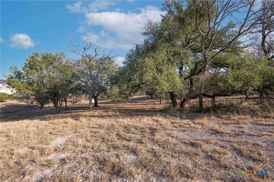0.31 acres in Llano County - photo 20