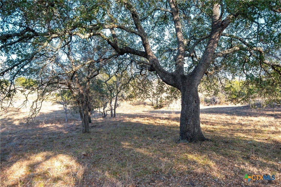 0.31 acres in Llano County - photo 21