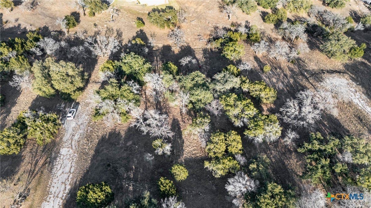 0.31 acres in Llano County - photo 26