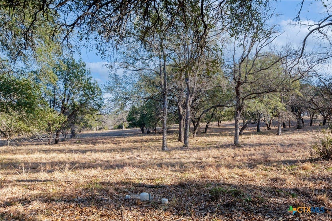 0.31 acres in Llano County - photo 18