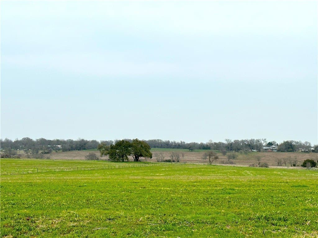 10 acres in Coryell County gallery image 3