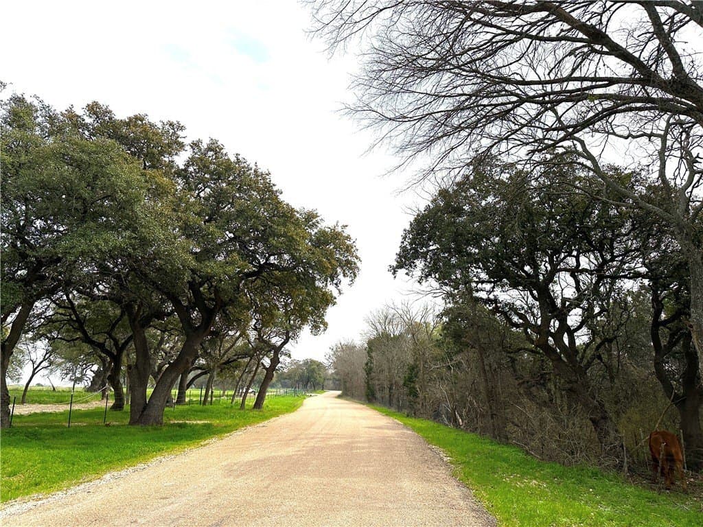 10 acres in Coryell County - photo 8