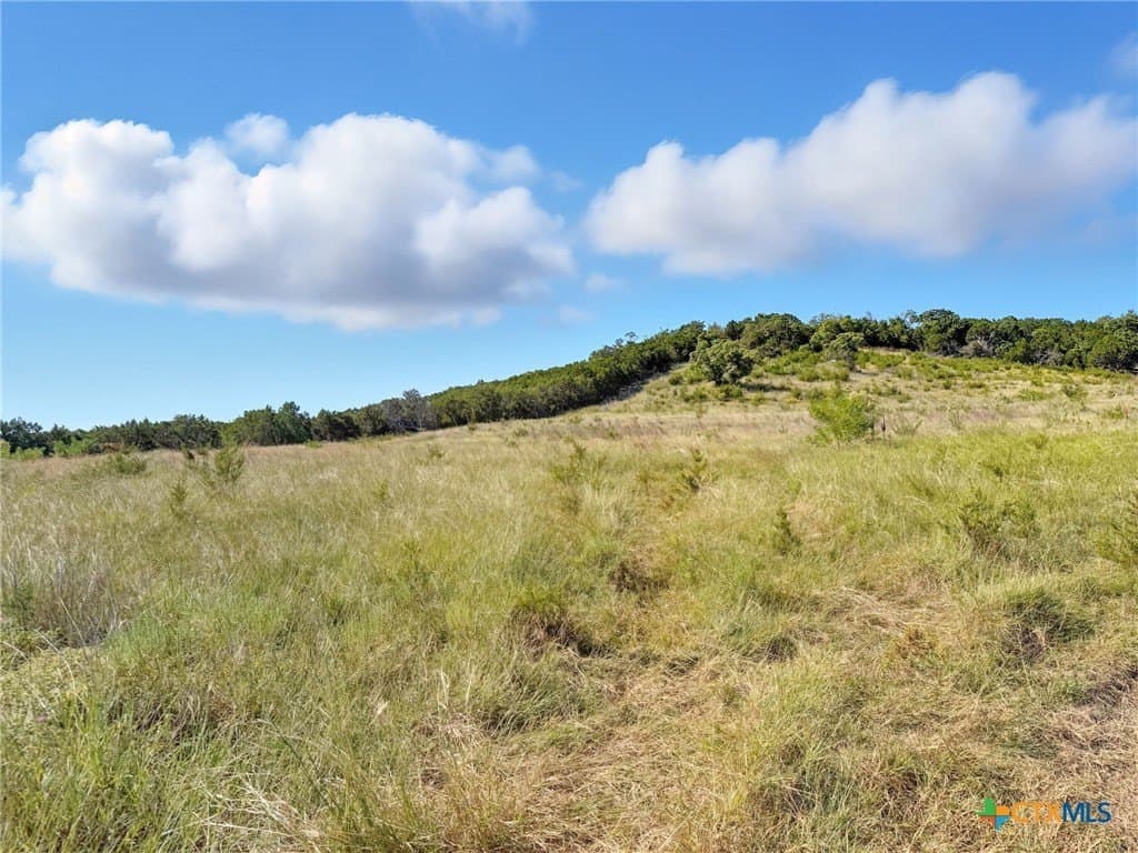 10.52 acres in Coryell County gallery image 4
