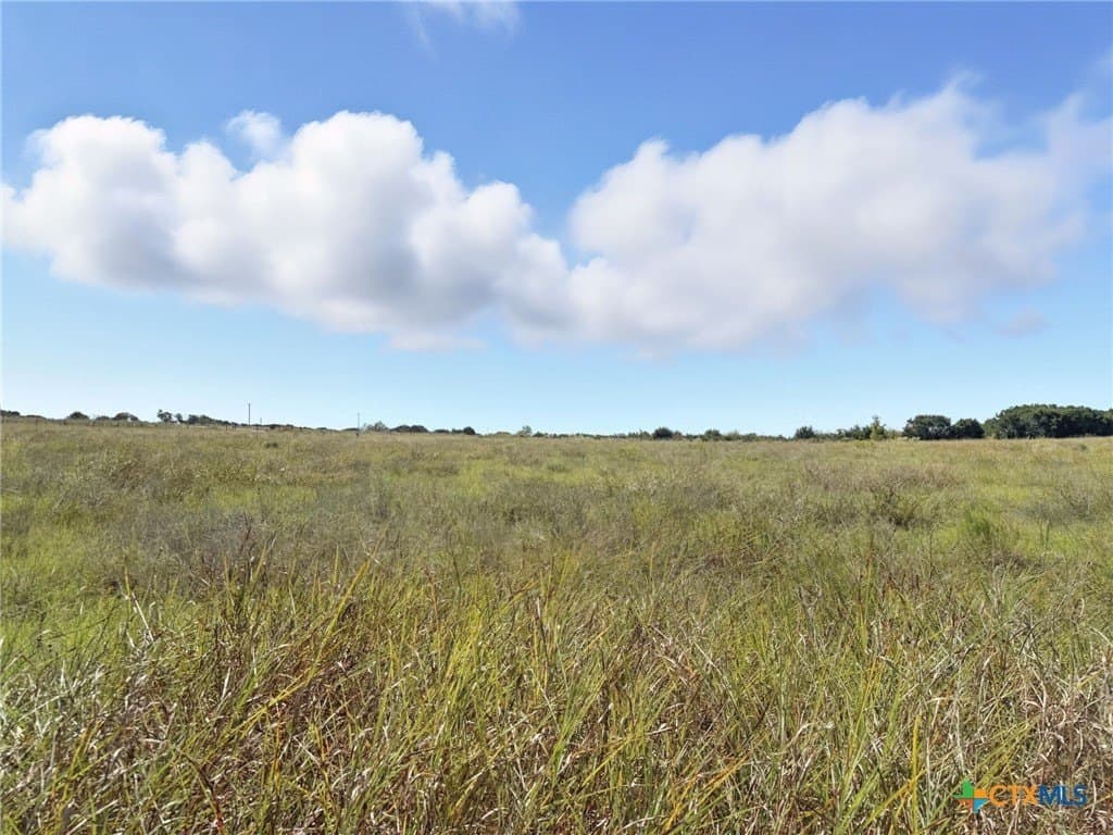 10.52 acres in Coryell County gallery image 3